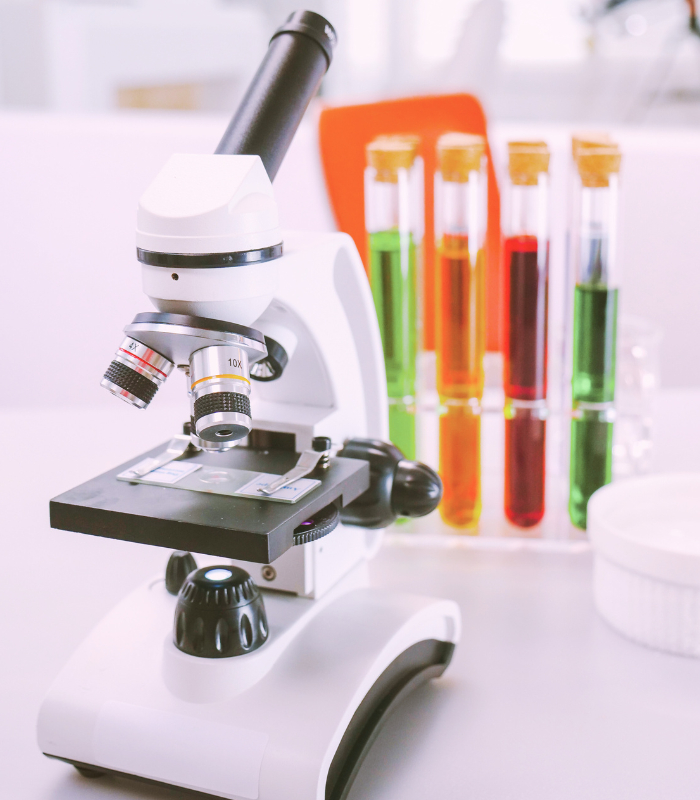 Untitled design (87)